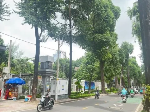 Cho thuê Toà Nhà GÓC 2MT 19B Phạm Ngọc Thạch, P.Võ Thị Sáu, Quận 3 ( Phường Xuân Hoà )