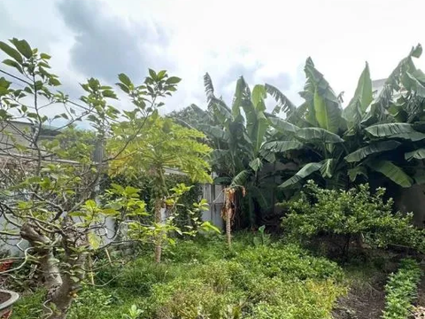 ĐẤT 370M² – NGANG 12M – GIÁ 24.9 TỶ – THỚI AN, Q.12